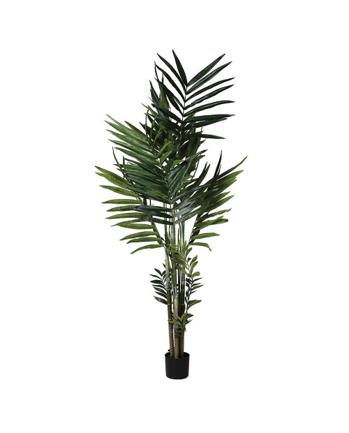 Dirbtinis augalas "Kentia Palm"
