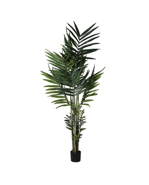 Dirbtinis augalas "Kentia Palm"