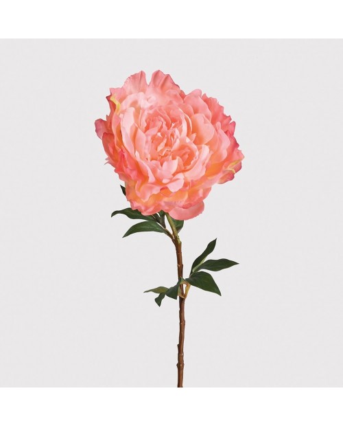 Dirbtinė gėlė "Peony Coral"