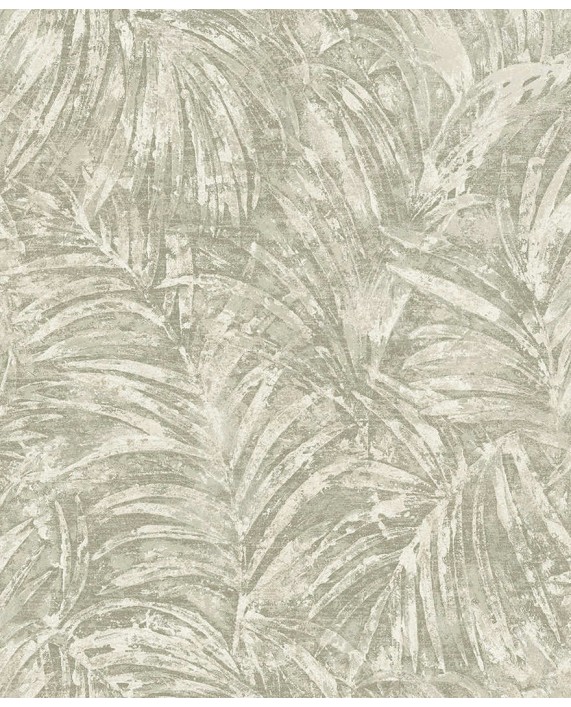Tapetai "Pindo Palm Bead Sage" 99448