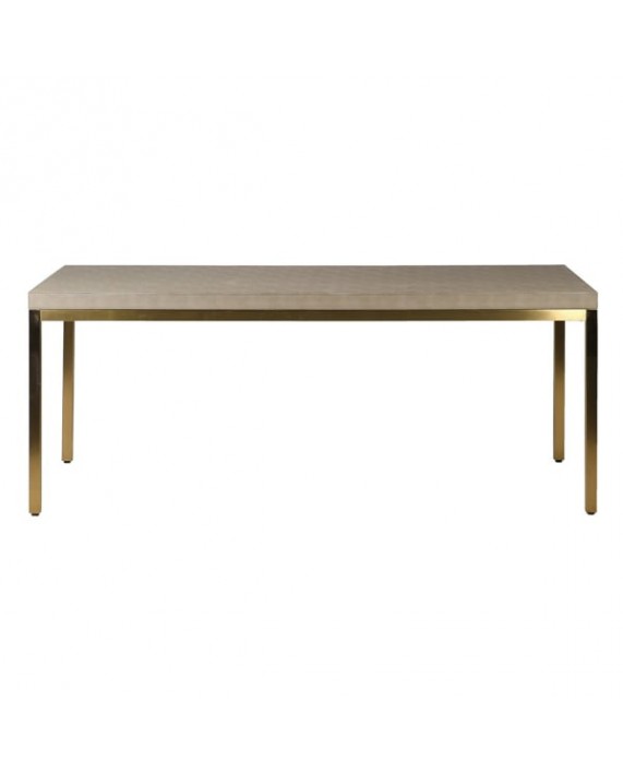 Valgomojo stalas "Shagreen Sage"