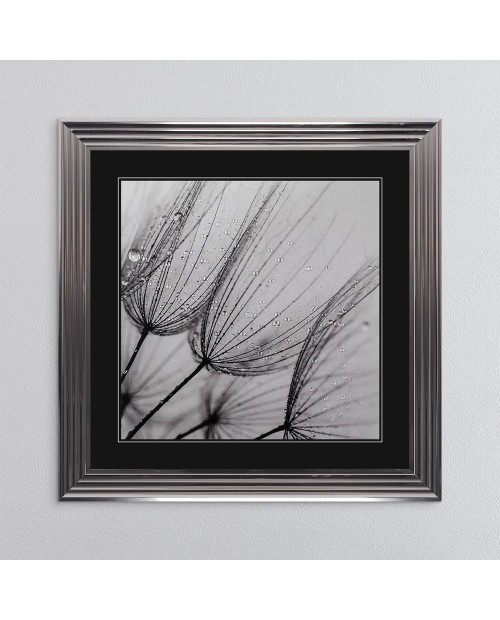 Paveikslas "Dandelion Seed 1"