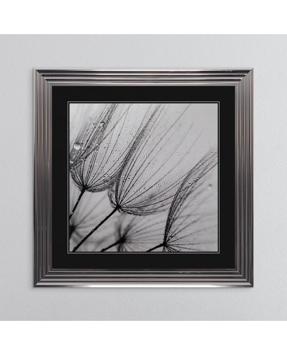 Paveikslas "Dandelion Seed 1"