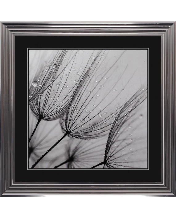 Paveikslas "Dandelion Seed 1"