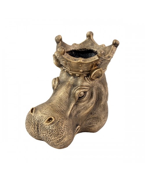 Vazonas "Gold Hippo Patty"