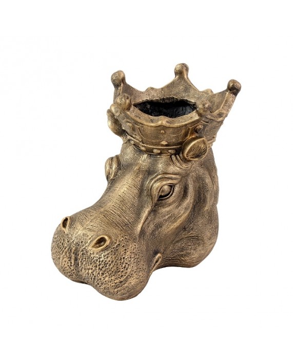 Vazonas "Gold Hippo Patty"
