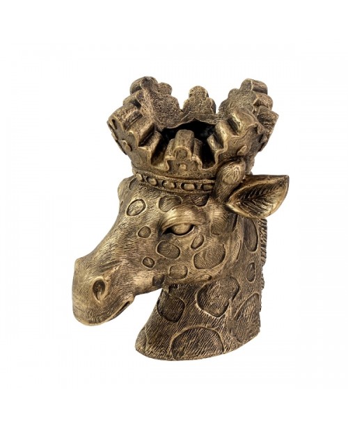 Vazonas žirafa "Gold giraffe lucie"
