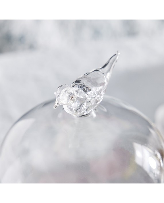 Stiklinis gaubtas su padėkliuku "Glass Bird"