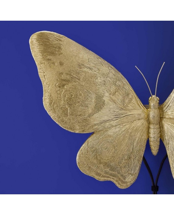 Sieninis šviestuvas "Butterfly" Sieninis šviestuvas "Butterfly"