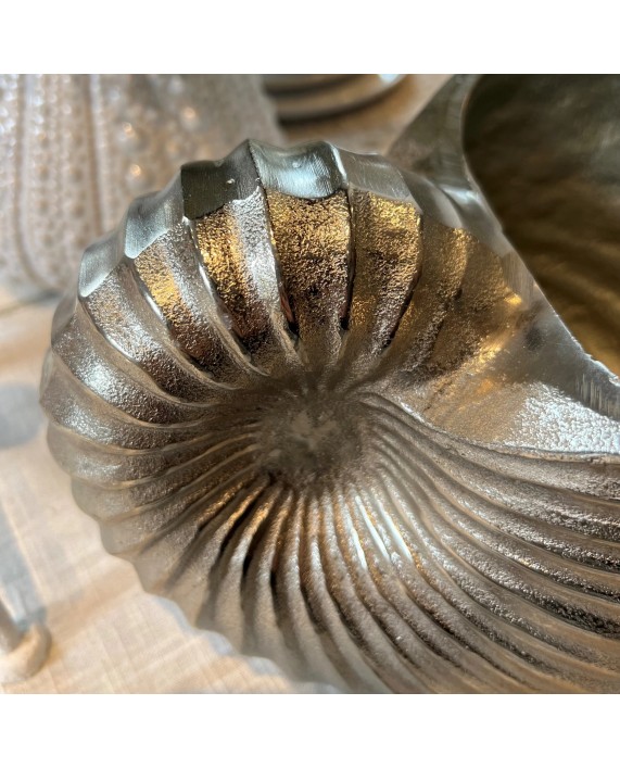Indas ledui "SHELL"