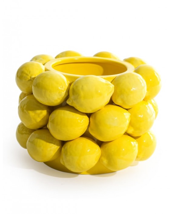 Citrinų vazonas "Multi Lemon"
