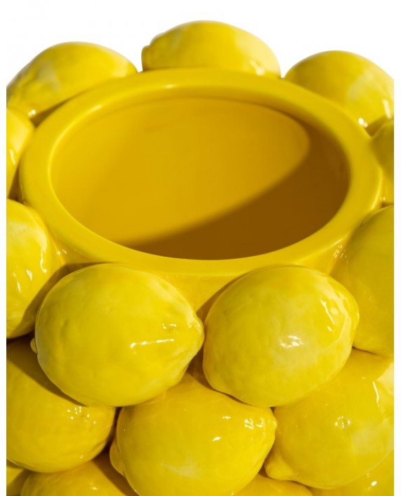Citrinų vazonas "Multi Lemon"