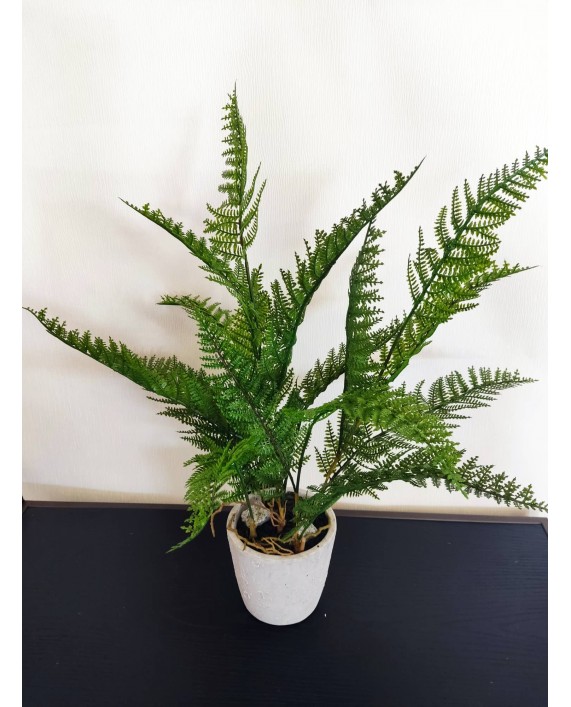 Dirbtinis augalas "Bracken Fern"