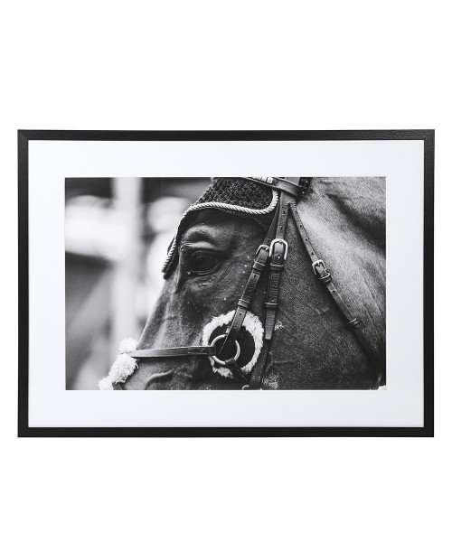 Paveikslas printas "EQUESTRIAN 2"