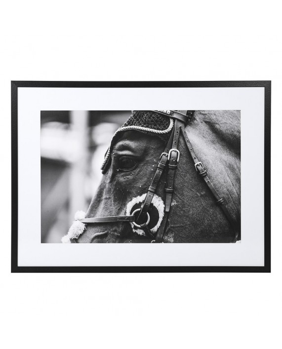 Paveikslas printas "EQUESTRIAN 2"