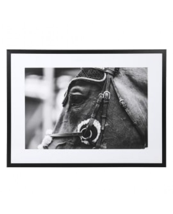 Paveikslas printas "EQUESTRIAN 2"