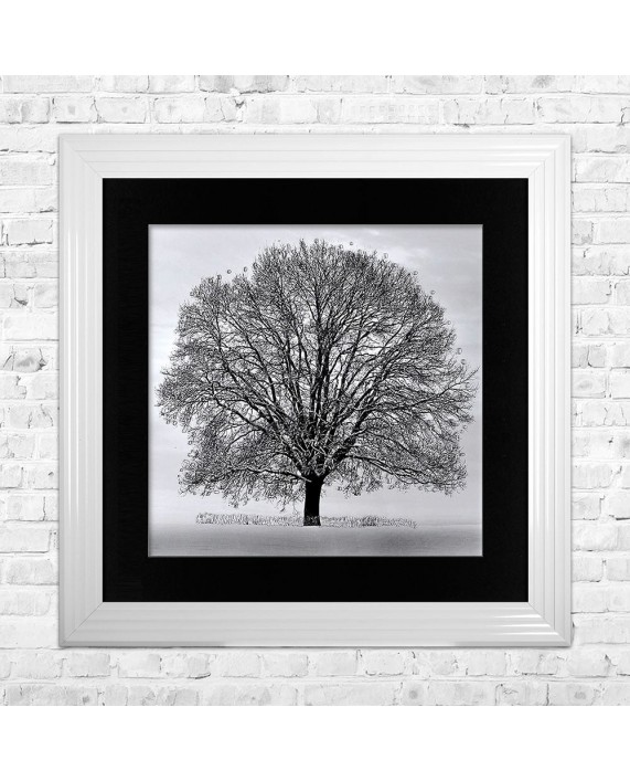 Paveikslas "Winter Tree"