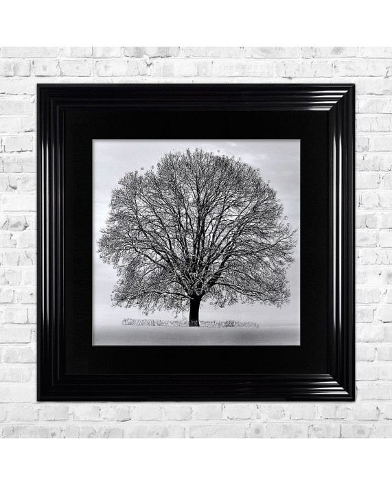 Paveikslas "Winter Tree"