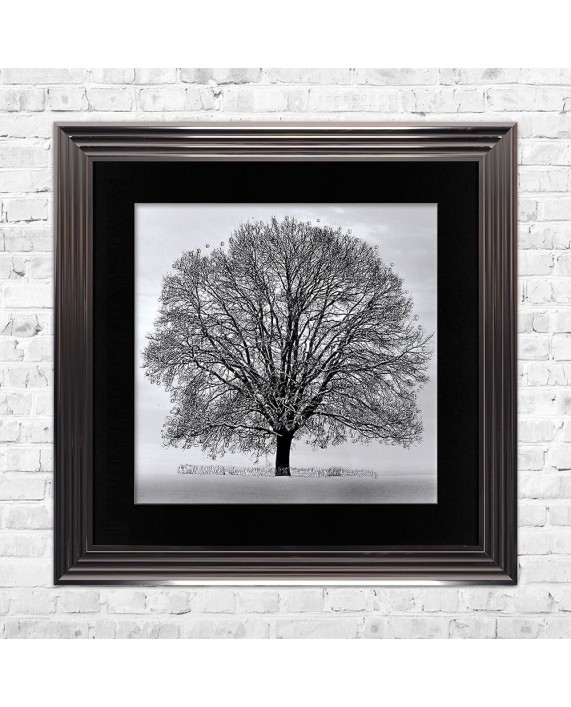 Paveikslas "Winter Tree"